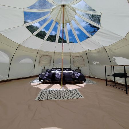 Luna Rock Glamping Brezoi - Blue Scai Exterior foto